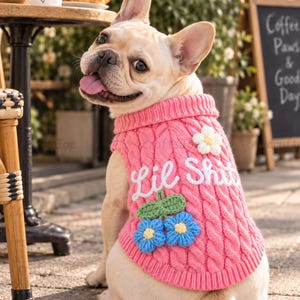 Puede incluir: Un bulldog franc&eacute;s de color claro lleva un su&eacute;ter de punto trenzado rosa. El su&eacute;ter presenta el texto bordado en blanco "Lil Shit" y est&aacute; decorado con una aplicaci&oacute;n de flor blanca y dos flores azules con hojas verdes.