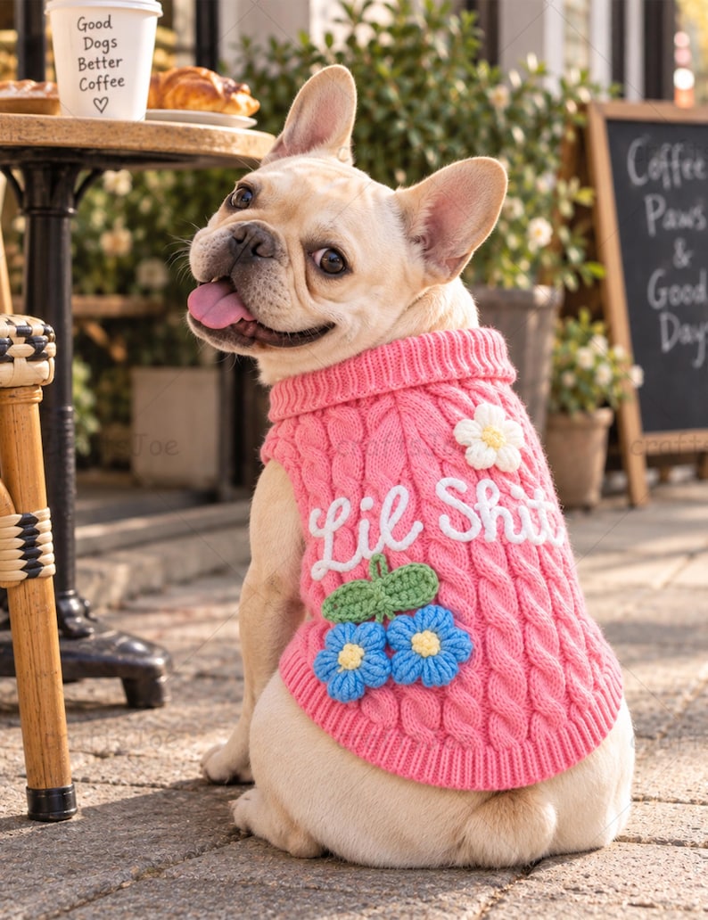 Puede incluir: Un bulldog franc&eacute;s de color claro lleva un su&eacute;ter de punto trenzado rosa. El su&eacute;ter presenta el texto bordado en blanco "Lil Shit" y est&aacute; decorado con una aplicaci&oacute;n de flor blanca y dos flores azules con hojas verdes.