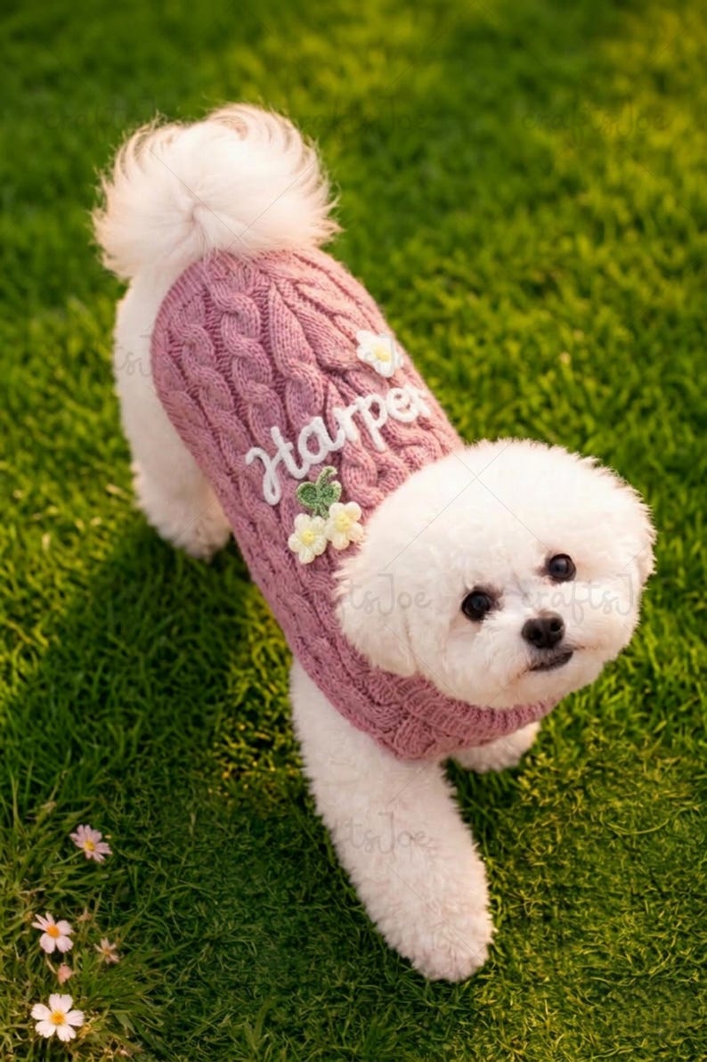 Puede incluir: Un perro peque&ntilde;o de color blanco lleva puesto un su&eacute;ter de punto trenzado en color rosa empolvado. El su&eacute;ter presenta el nombre Harper bordado en letra blanca, decorado con peque&ntilde;as flores tridimensionales blancas y amarillas.