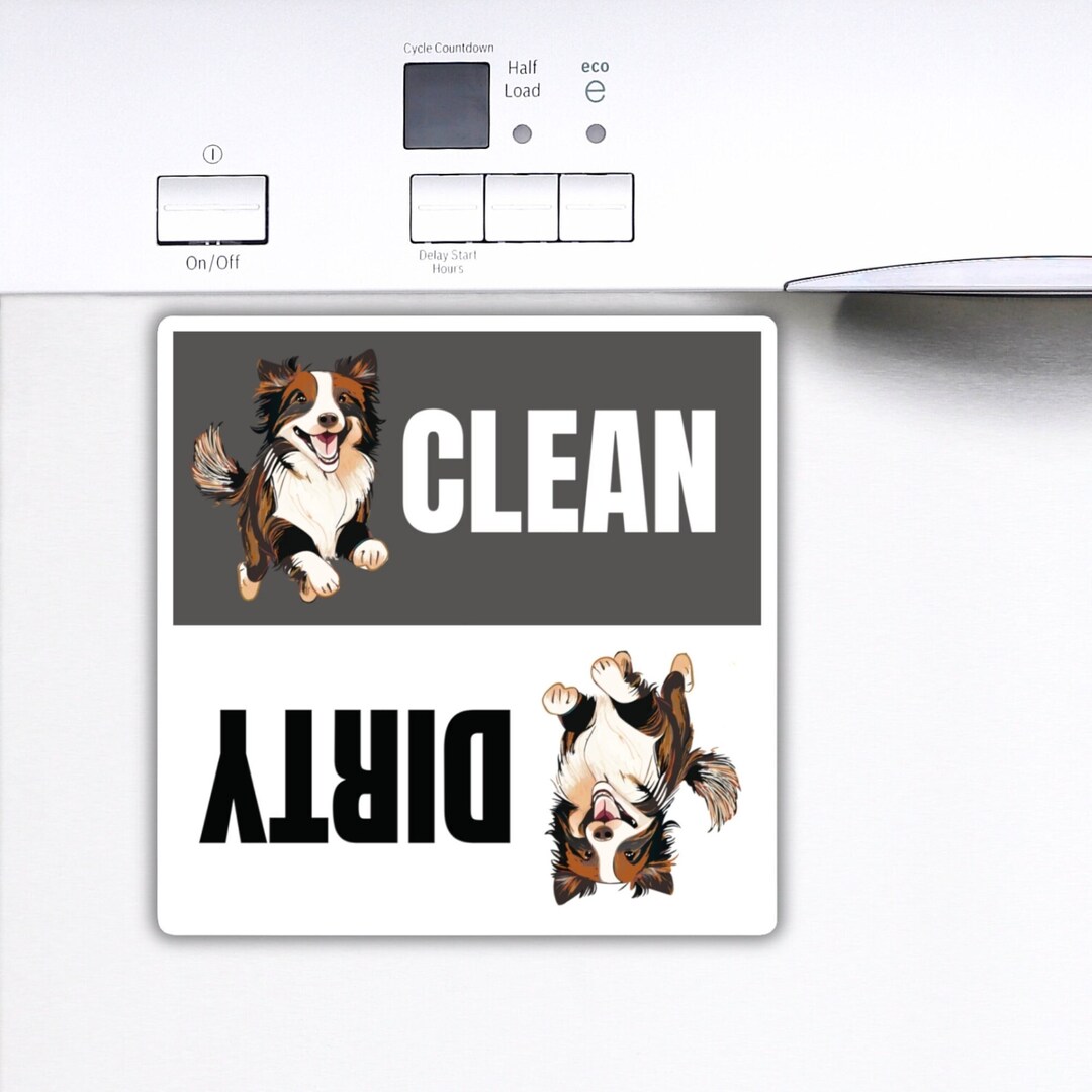 Border Collie Dishwasher Tricolour Border Collie for