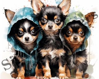 10-pack Chihuahua Dogs Wet In The Rain PNG Image Set Domestic Pet Animal Digital Art Images