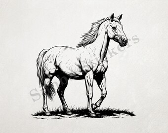 Horse Standing Outline Art PNG+SVG Transparent Background Digital Art Domestic Farm Animal Clipart Sticker Image