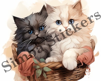 10-pack Himalayan Cats In Love Cuddling St. Valentine's Day Romantic PNG Image Set Domestic Pet Animal Digital Art Images