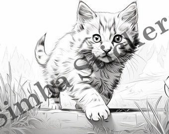 May include: A black and white line drawing of a kitten looking at the camera. The kitten is standing on a rock with grass in the background.