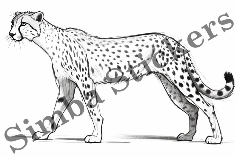 25pack Cheetahs Digital Colouring Page Vector Illustration SVG Images