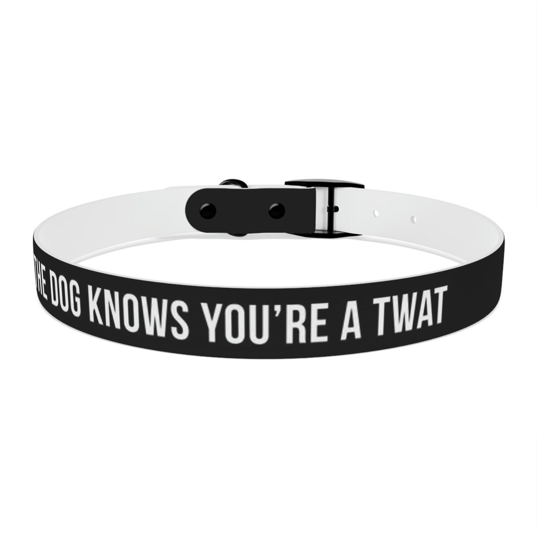 Dog Collar Even the Dog Knows You're A Twat black Etsy