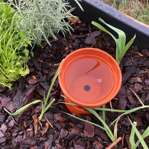 Olla Wasserspender Wasserkrug Gartenbewässerung Bewässerung Bild 2