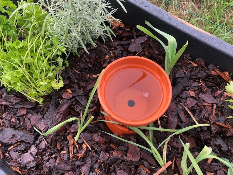 Olla Wasserspender Wasserkrug Gartenbewässerung Bewässerung Bild 2