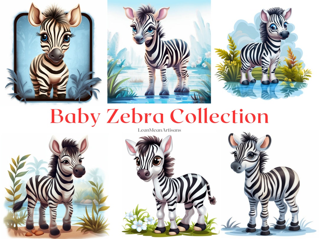 Baby Zebra Clip Art Collection Set of 16 Instant Download - Etsy
