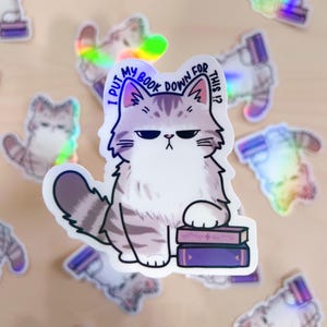 May include: A white and gray cat with a grumpy expression sits on a stack of purple books. The cat is holding a book with its paw and the text "I put my book down for this?" is written above the cat.