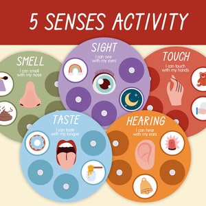 Five Senses Sorting Printable Game, Human Body Worksheets, Classification Game, Preschool Learning Activity, Interactive Learning, education