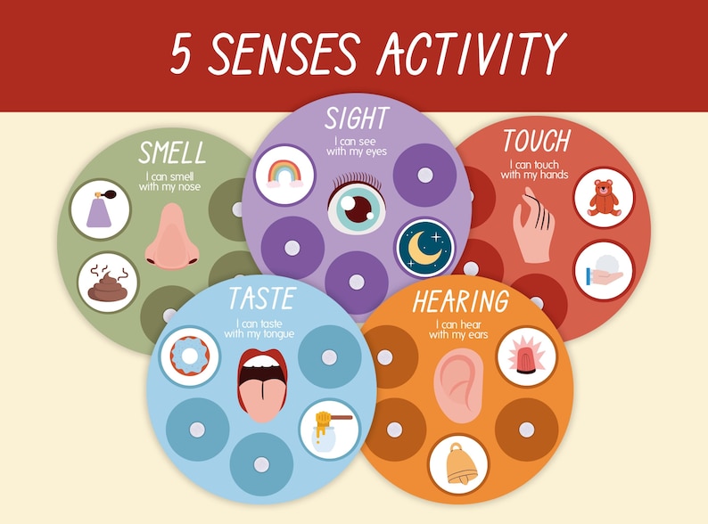 Five Senses Sorting Printable Game, Human Body Worksheets ...