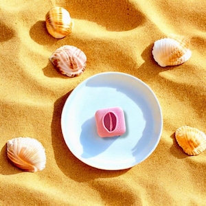 Könnte beinhalten: Ein hellblauer Teller mit einem rosa Objekt in der Mitte, umgeben von Muscheln auf sandigem Untergrund. Das rosa Objekt hat ein einzigartiges Design mit einer zentralen ovalen Form. Die Muscheln sind in verschiedenen Größen und Farben.