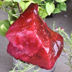 Op de afbeelding: Een grote, onregelmatig gevormde, dieprode edelsteen. De edelsteen is gepolijst en heeft een glanzende afwerking. Hij ligt op een pot met groene planten.