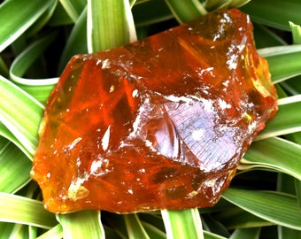 Natural Amber Certified Raw Amber Poland Mines, Natural Yellow Amber Gemstone Rough, Clean Transparent Insect Amber Rough For Jewelry Making