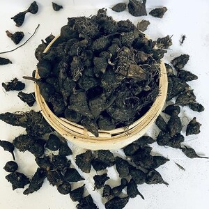 GOWE SEED For infusion, intimate care and traditional incense