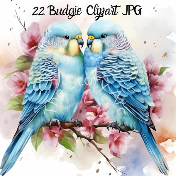 Budgie Clipart, 22 Budgerigar Clipart, Watercolor Bird Clipart, High Quality JPG, Commercial Use Instant Download, Bird Wall Art, Stationery
