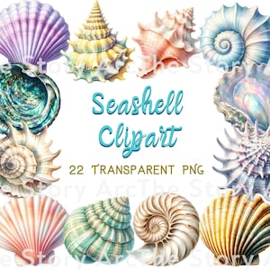 Watercolor Seashell Clipart, 22 Seashells PNG, Digital Download Sublimation Design, Beach Lover Ocean Graphics, Marine Decor, Seashell Art