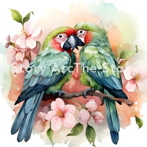 Imágenes prediseñadas de pareja de loros, 15 archivos JPG de alta calidad, guacamayo verde, guacamayo escarlata, guacamayo azul y amarillo, descarga digital para scrapbooking, sublimación