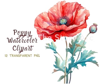 Watercolor Poppy Clipart, Poppy PNG, Digital Download for Scrapbooking, Card Making, Wall Art, Sublimation, Junk Journal, Stationery, Crafts