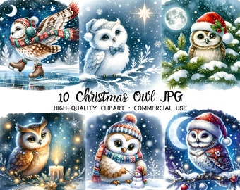 Christmas Owl Clipart, 10 High Quality JPG, Digital Download for Sublimation, Card Making, Stationery, Scrapbook, Invitation, Holiday Decor