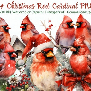 Cardeal Vermelho De Natal PNG, 14 Clipart De Pássaro Cardeal Vermelho, Clipart De Natal Em Aquarela, Clipart De Férias, Cartão, Papelaria, Download Digital