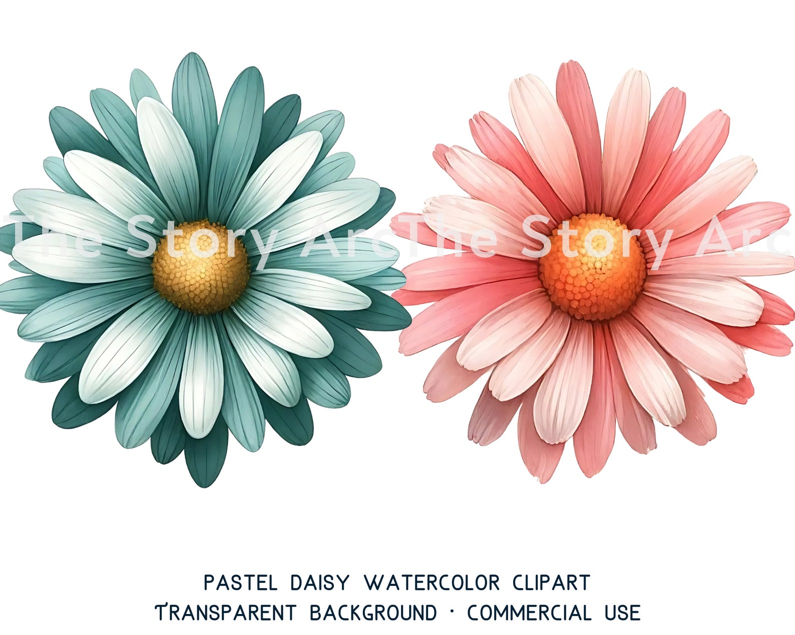 Daisy Watercolor Clipart, 20 Daisy PNG, Pastel Daisy, Digital Download ...