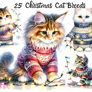 Clipart de Noël de chat, lumières de Noël de chaton mignon, 25 JPG de haute qualité téléchargement immédiat Sublimation Scrapbook artisanat journal papier numérique
