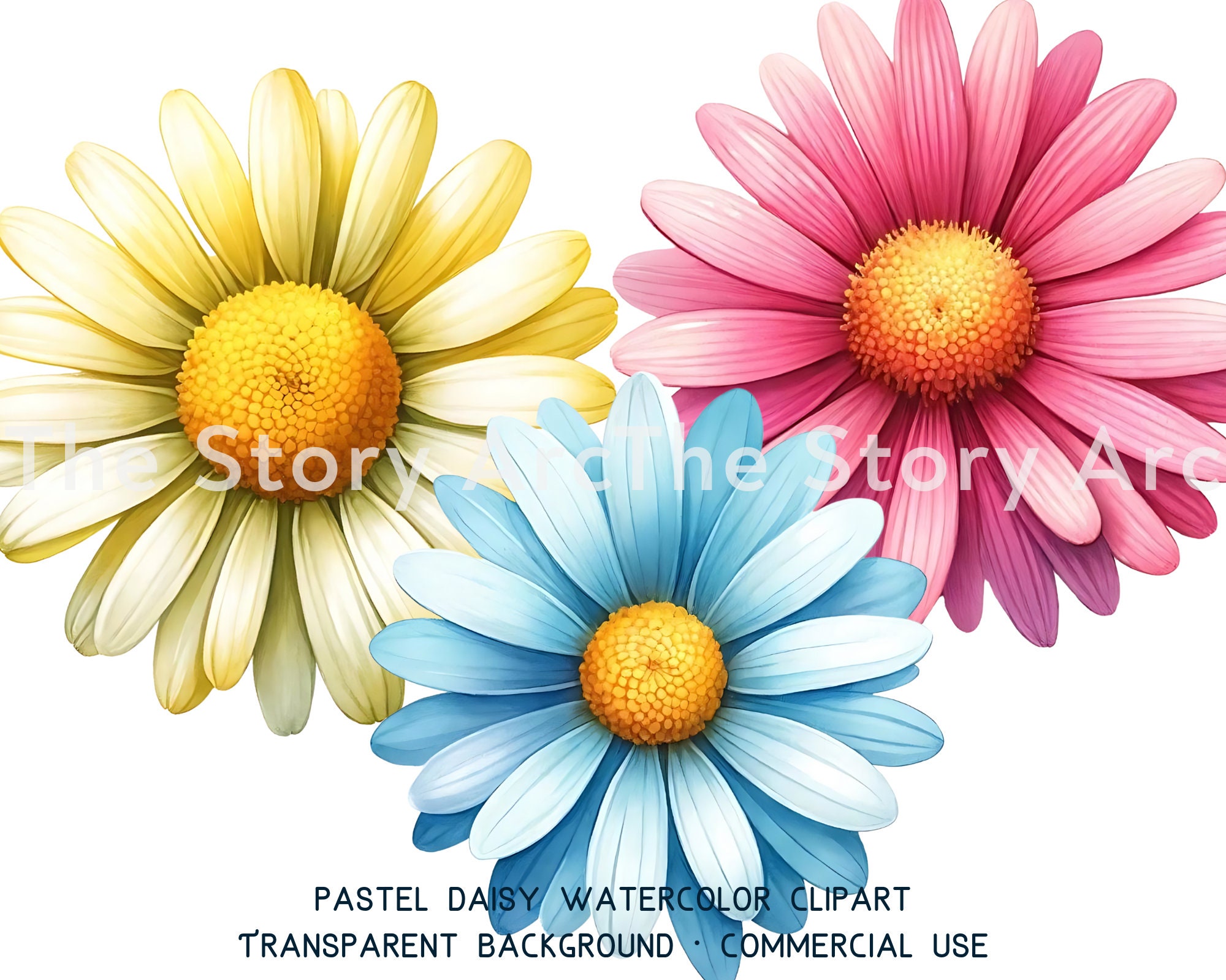 Daisy Watercolor Clipart, 20 Daisy PNG, Pastel Daisy, Digital Download ...