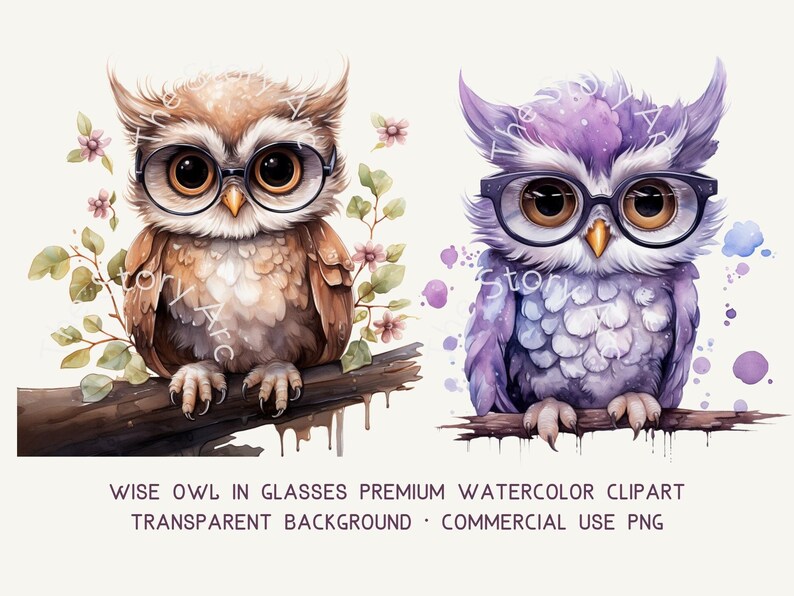 Watercolor Owl Clipart, Wise Owls in Glasses, Back to School (digital ...