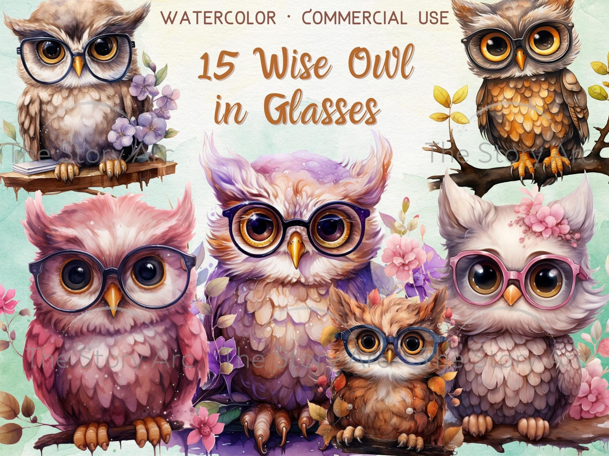 Owl in Glasses Clipart, 15 Wise Owl Clipart, Watercolor Owl, Cute Owl PNG, Owl Teacher, Commercial U