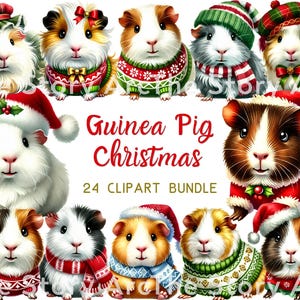 Clipart Noël cochon d'Inde, 24 hiver mignon cochon d'Inde, bonnet de Noel cochon d'Inde, agenda numérique carte de Noël Invitation sublimation artisanat