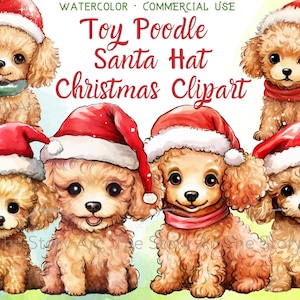 Clipart de poodle de brinquedo de Natal, chapéu de Papai Noel 19 Poodle, PNG de poodle de brinquedo, download instantâneo para álbum de recortes, criação de cartões, adesivo digital, diário