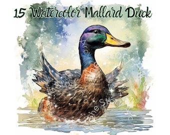 Clipart de pato-real em aquarela, 15 imagens JPG (download digital)