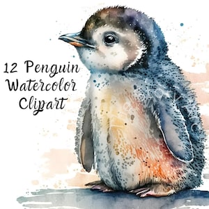 Clipart aquarelle pingouin, 12 cliparts bébé pingouin, téléchargement numérique pour la fabrication de cartes, scrapbooking, travaux manuels art déco murale, JPG de haute qualité