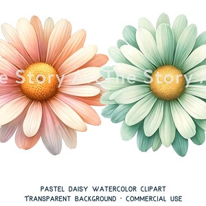 Daisy Watercolor Clipart, 20 Daisy PNG, Pastel Daisy, Digital Download ...