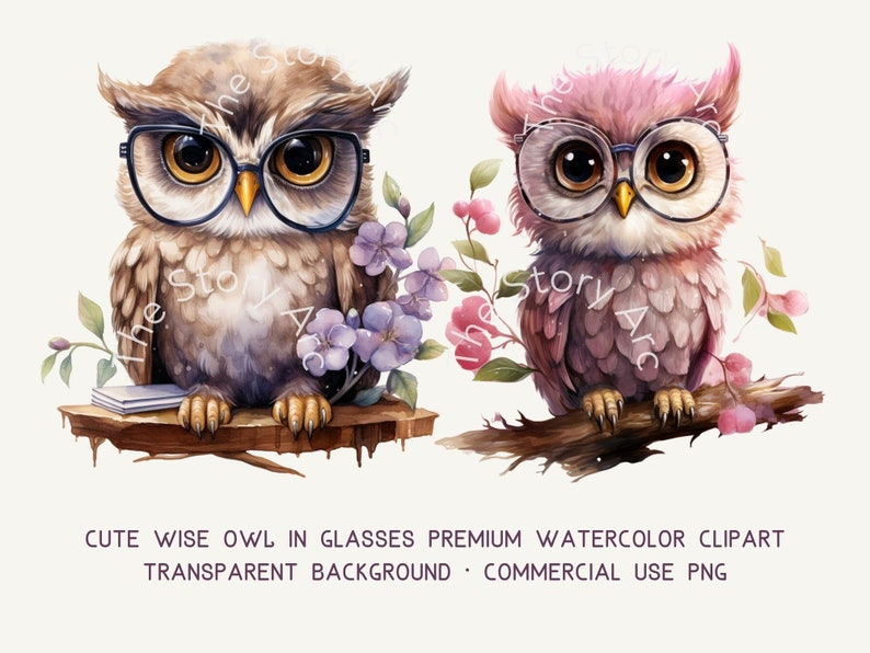 Watercolor Owl Clipart, Wise Owls in Glasses, Back to School (digital ...