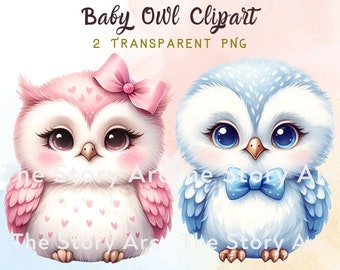 Cute Baby Owl Clipart PNG, Baby Shower Graphic Design, Digital Download, Sublimation, Invitation, Paper Crafts, Baby Animals, Owl Clipart