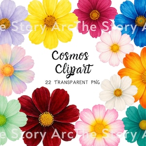 Peut inclure: Un ensemble de cliparts de fleurs de cosmos à l'aquarelle, aux couleurs variées : violet, jaune, rose, bleu, orange, blanc, rouge et turquoise. Le texte "Cosmos Clipart" et "22 TRANSPARENT PNG" est également présent.