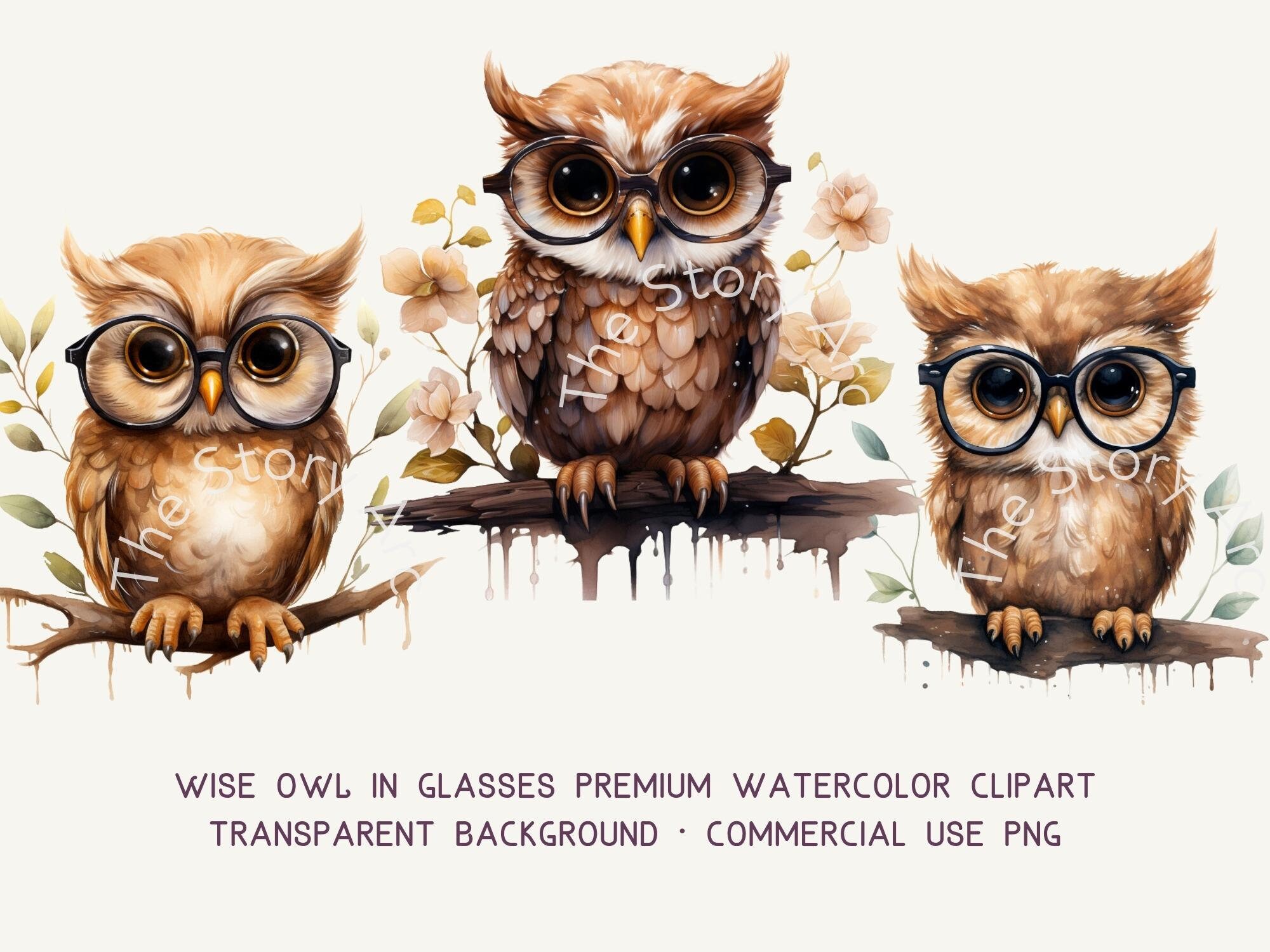 Watercolor Owl Clipart, Wise Owls in Glasses, Back to School (digital ...