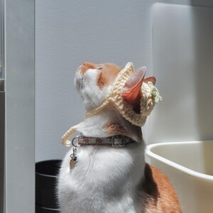 Adorable Handmade Crochet Fruit Hat for Cats – Perfect for Everyday Fun!