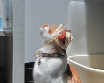 Handmade Crochet Fruit Hat for Cats
