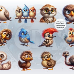 Funny Bird Clipart Bundle | Set 2 | Whimsical Cute Bird PNGs for DIY Projects | Instant Download | Commercial Use | Quirky Birds