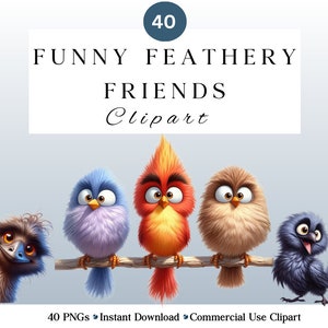 Paquete de imágenes prediseñadas de pájaros divertidos / PNG de pájaros lindos y extravagantes para proyectos de bricolaje / Descarga instantánea / Uso comercial / Pájaros extravagantes