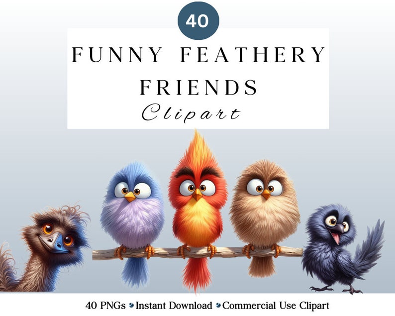 Funny Bird Clipart Bundle | Whimsical Cute Bird PNGs for DIY Projects | Instant Download | Commercial Use | Quirky Birds