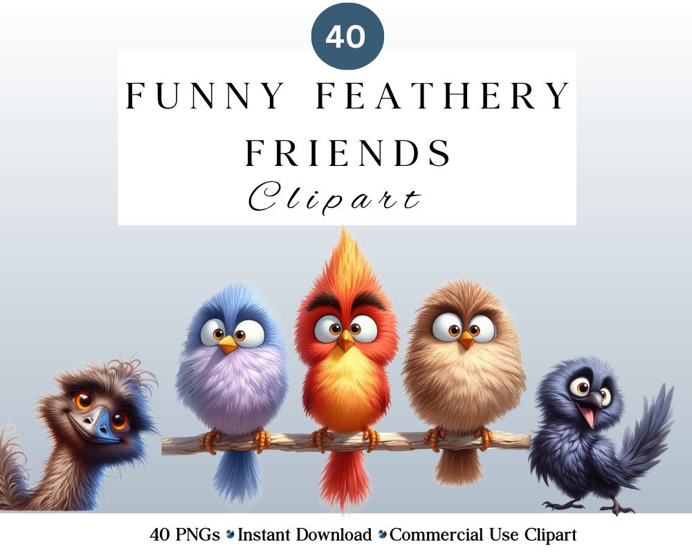 Funny Bird Clipart Bundle | Whimsical Cute Bird PNGs for DIY Projects | Instant Download | Commercial Use | Quirky Birds