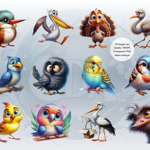 Funny Bird Clipart Bundle | Whimsical Cute Bird PNGs for DIY Projects | Instant Download | Commercial Use | Quirky Birds