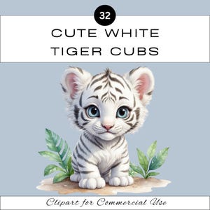 Pacchetto di clipart PNG di un adorabile cucciolo di tigre bianca / Adorabile cucciolo di animale da safari in sublimazione / Scrapbooking di Junk Journal / Uso commerciale / Aula