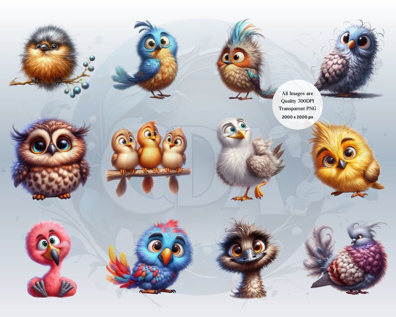 Funny Bird Clipart Bundle | Set 2 | Whimsical Cute Bird PNGs for DIY Projects | Instant Download | Commercial Use | Quirky Birds