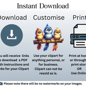 Funny Bird Clipart Bundle | Whimsical Cute Bird PNGs for DIY Projects | Instant Download | Commercial Use | Quirky Birds image 6